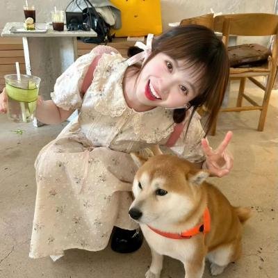 狮子王们的夏天